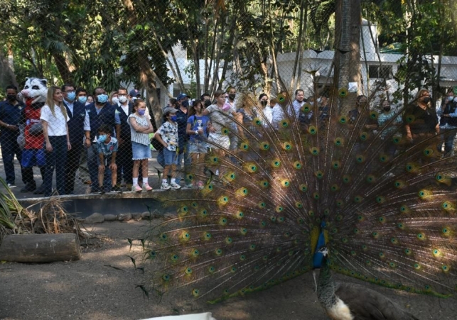 Alcaldesa Patricia Lobeira de Yunes reabre el parque zoológico Miguel Ángel de Quevedo