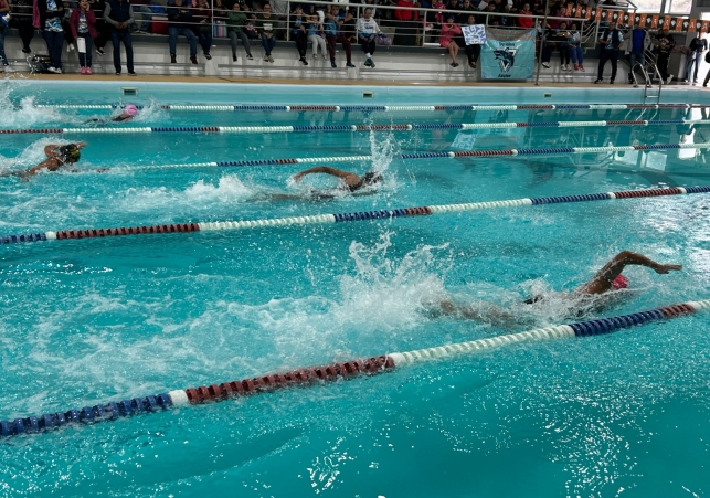 natacion jarocho