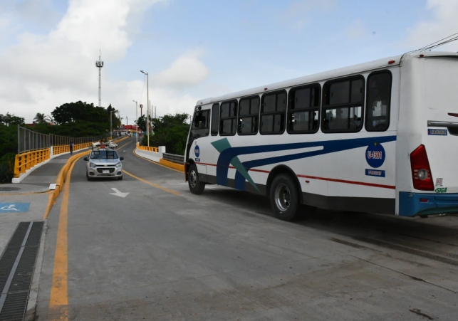 puente torrentes PLY